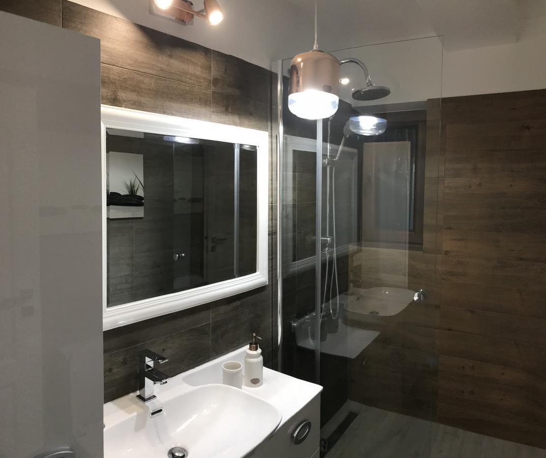 Venetia Apartament - Timisoara Apartment Екстериор снимка